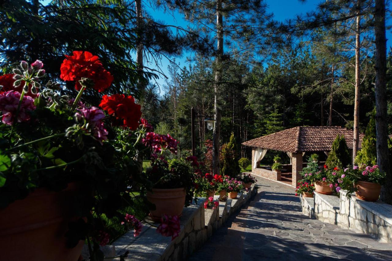 Hotel Helen Bacău Exterior foto